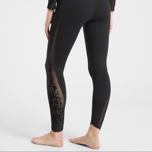 Velvet Rose 7/8 Tight